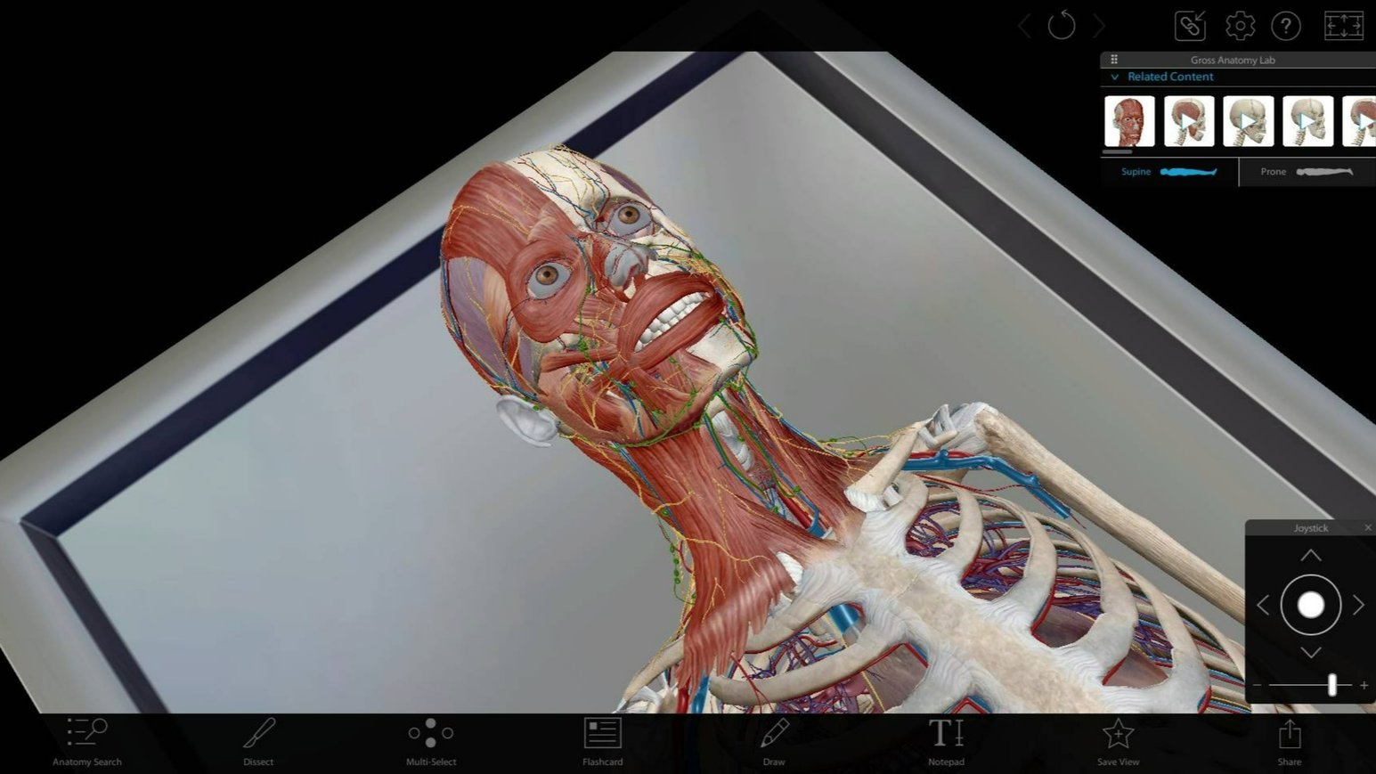 3Difying OpenStax Textbooks with Visible Body